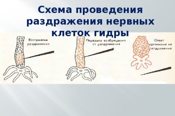 Kraken ссылка зеркало официальный сайт