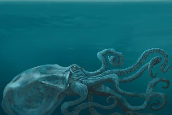 Kraken зеркало