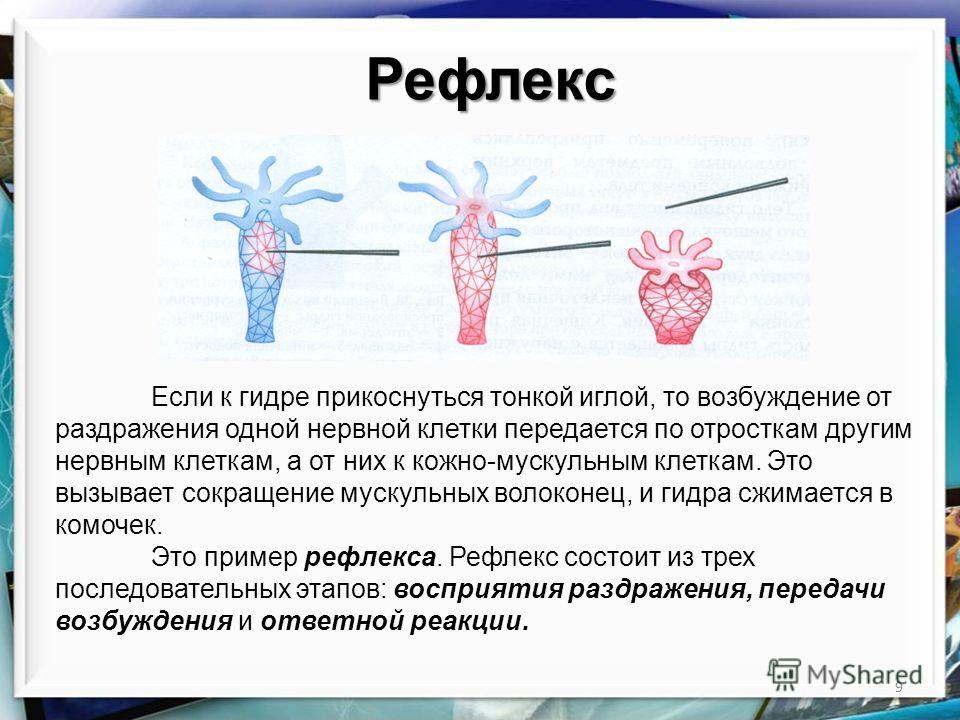 Кракен официальный сайт ссылка